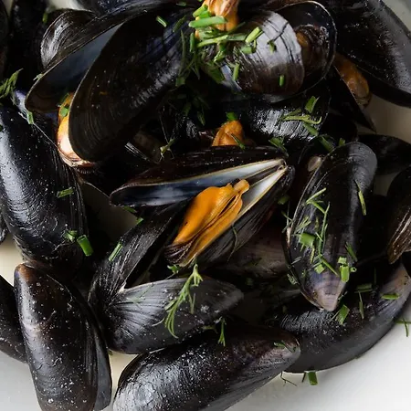 The Lamplighter Dining ~ Πανσιόν